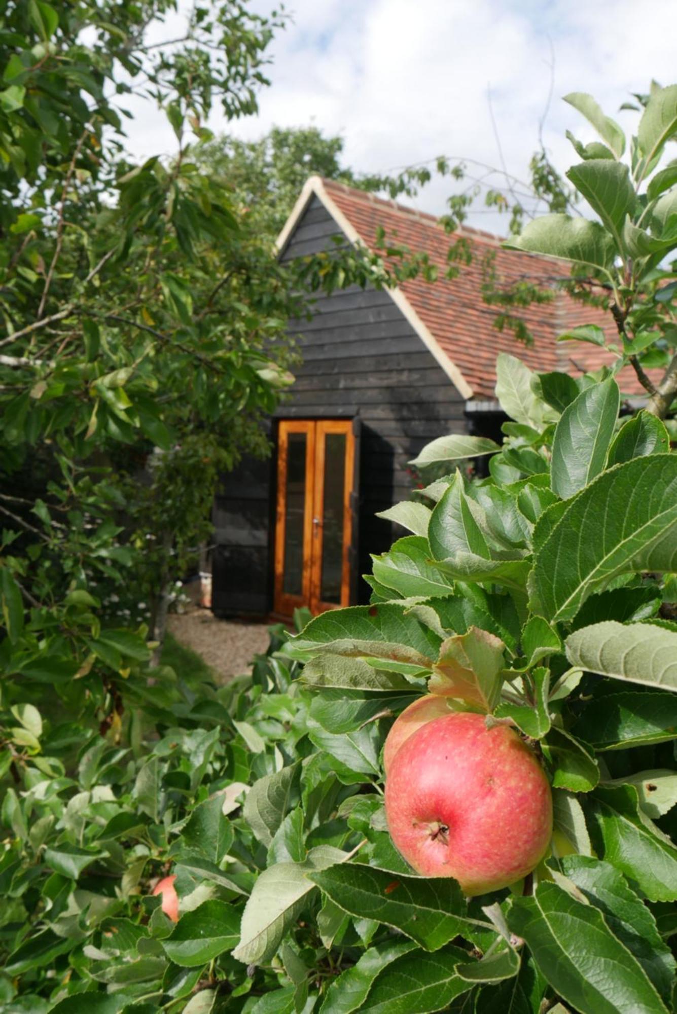 Villa The Little Orchard Watlington  Esterno foto