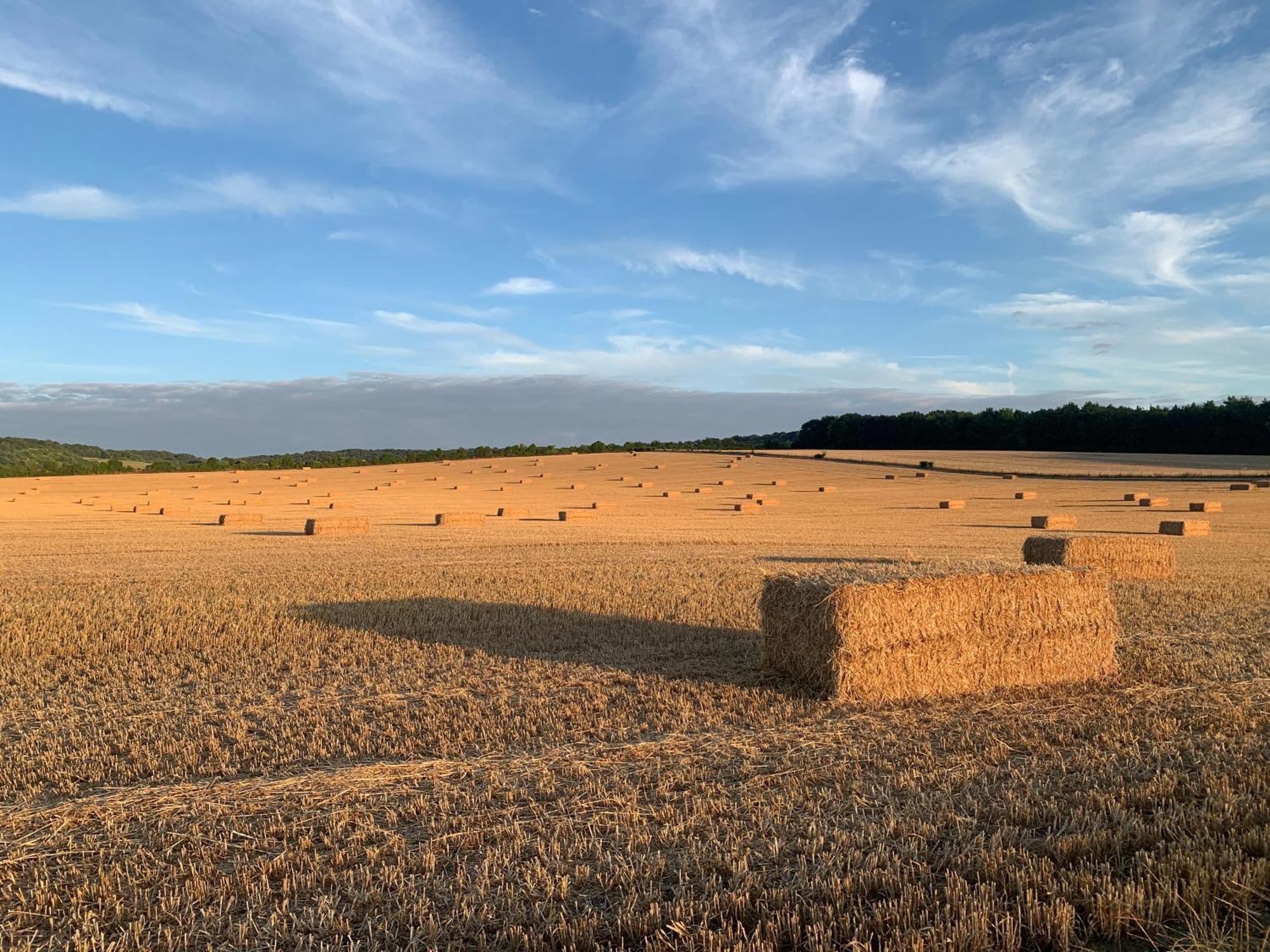 Villa The Little Orchard Watlington  Esterno foto